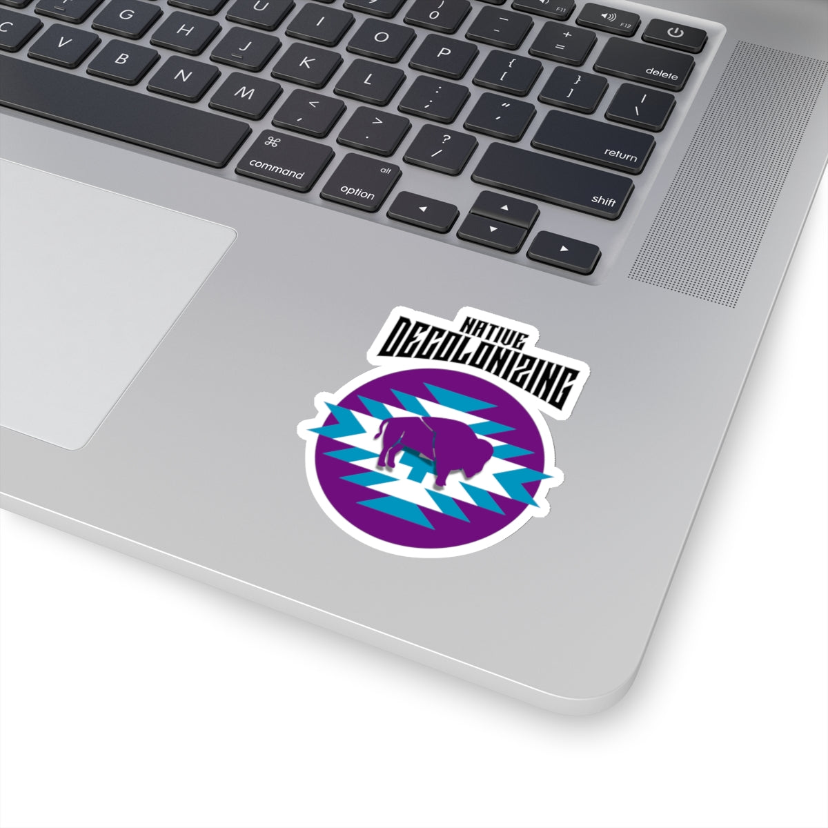 Native Bison, Decolonizing, Kiss-Cut Stickers