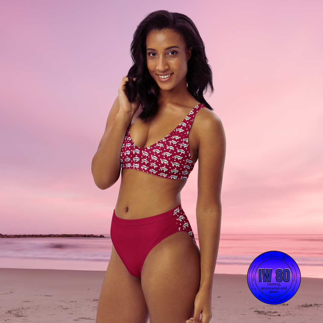 Indigenous Innii Aka Bison Rainbow on Red Recycled high-waisted bikini