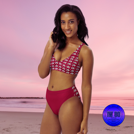 Indigenous Innii Aka Bison Rainbow on Red Recycled high-waisted bikini