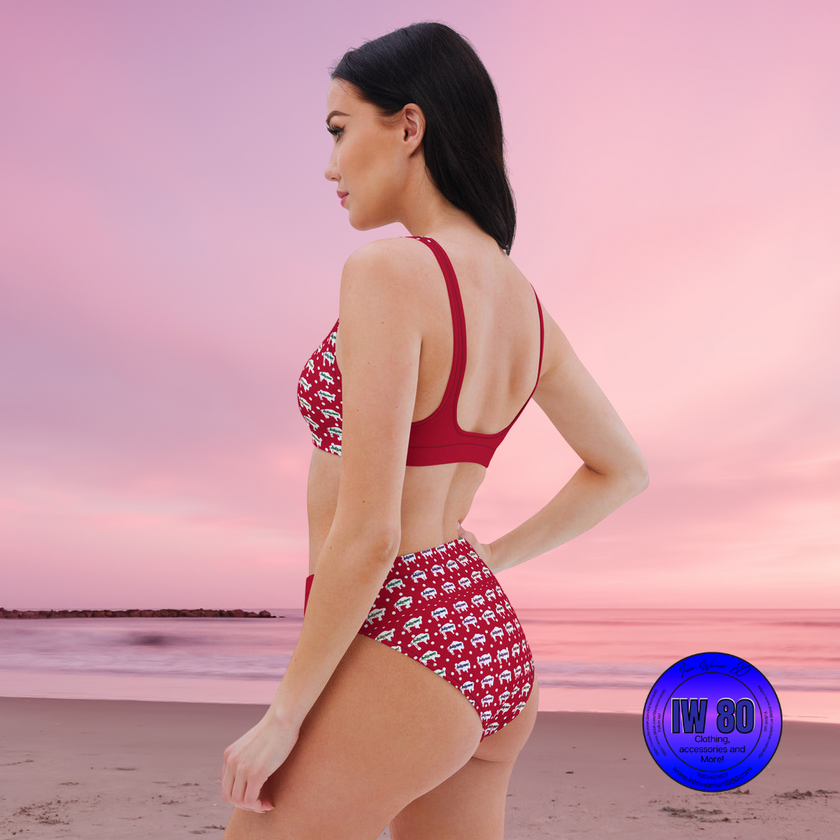 Indigenous Innii Aka Bison Rainbow on Red Recycled high-waisted bikini