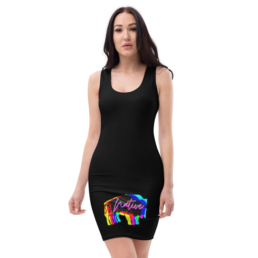 Native Bison Multi Color Cut & Sew Dress
