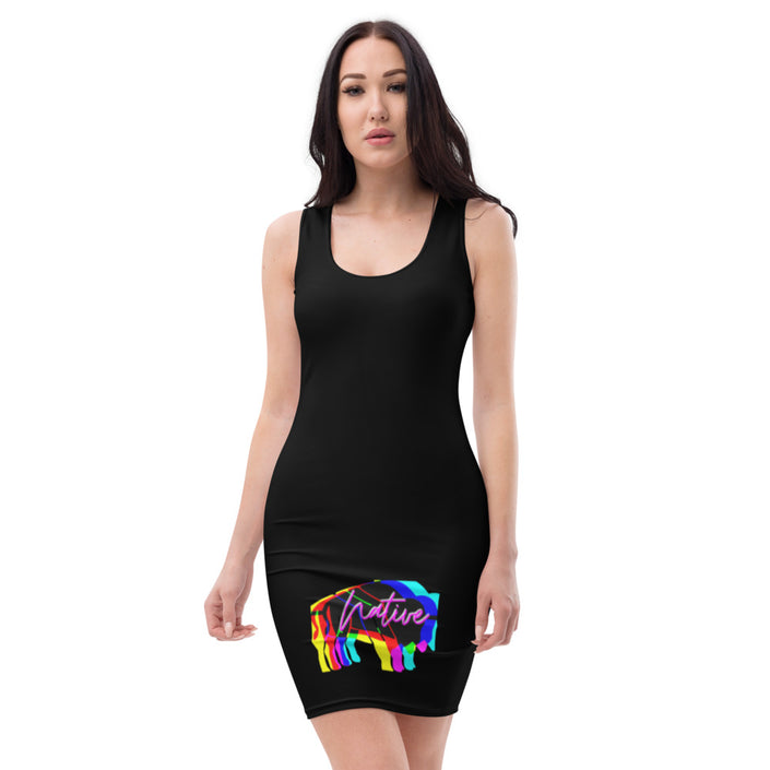Native Bison Multi Color Cut & Sew Dress