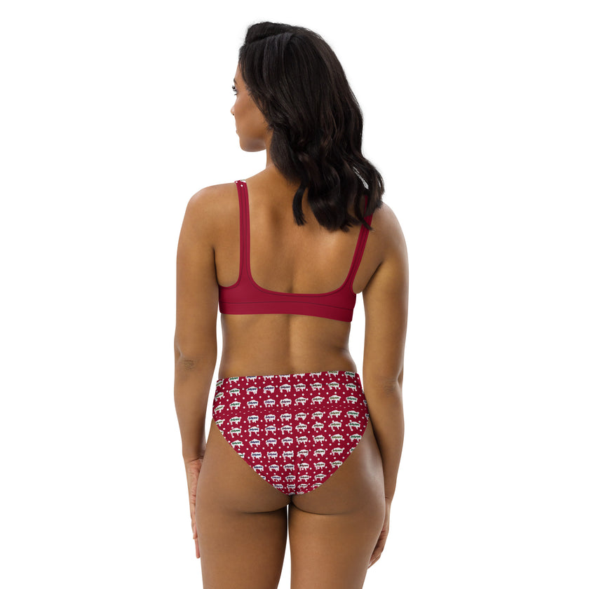 Indigenous Innii Aka Bison Rainbow on Red Recycled high-waisted bikini