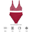 Indigenous Innii Aka Bison Rainbow on Red Recycled high-waisted bikini