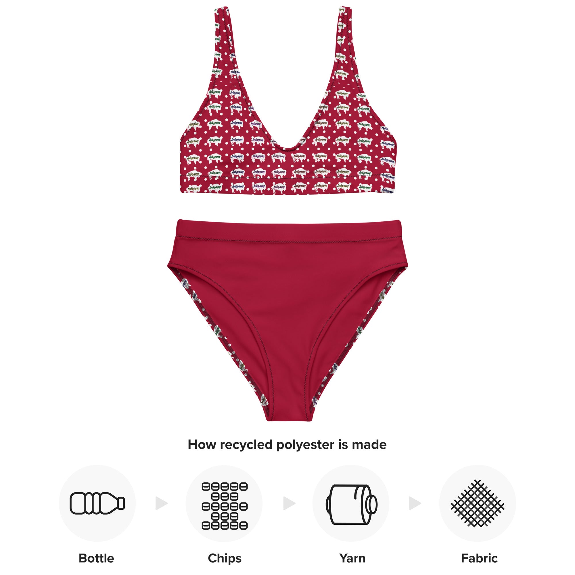 Indigenous Innii Aka Bison Rainbow on Red Recycled high-waisted bikini