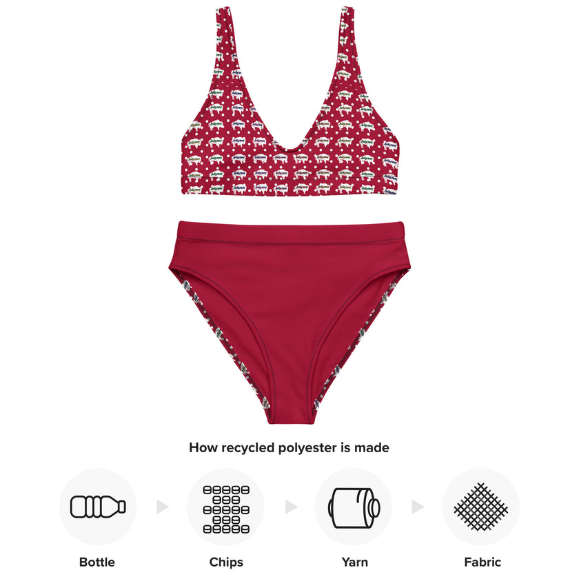 Indigenous Innii Aka Bison Rainbow on Red Recycled high-waisted bikini