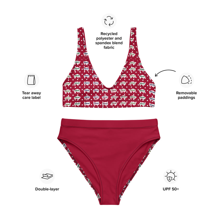 Indigenous Innii Aka Bison Rainbow on Red Recycled high-waisted bikini