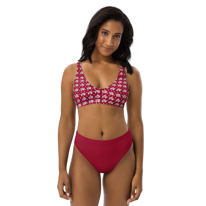 Indigenous Innii Aka Bison Rainbow on Red Recycled high-waisted bikini