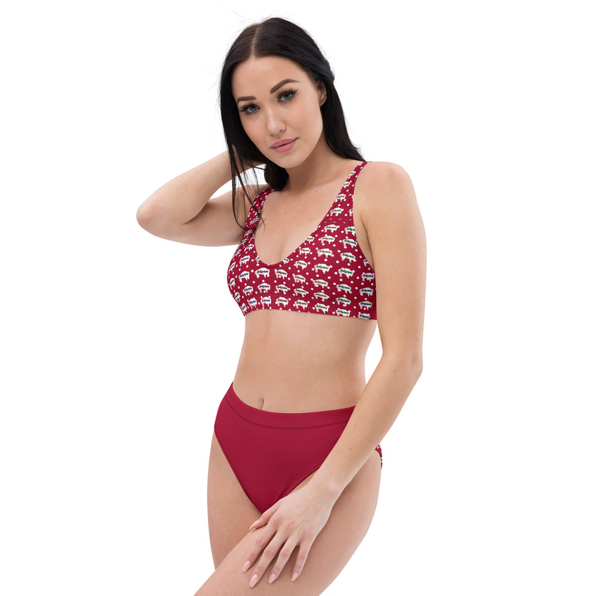 Indigenous Innii Aka Bison Rainbow on Red Recycled high-waisted bikini