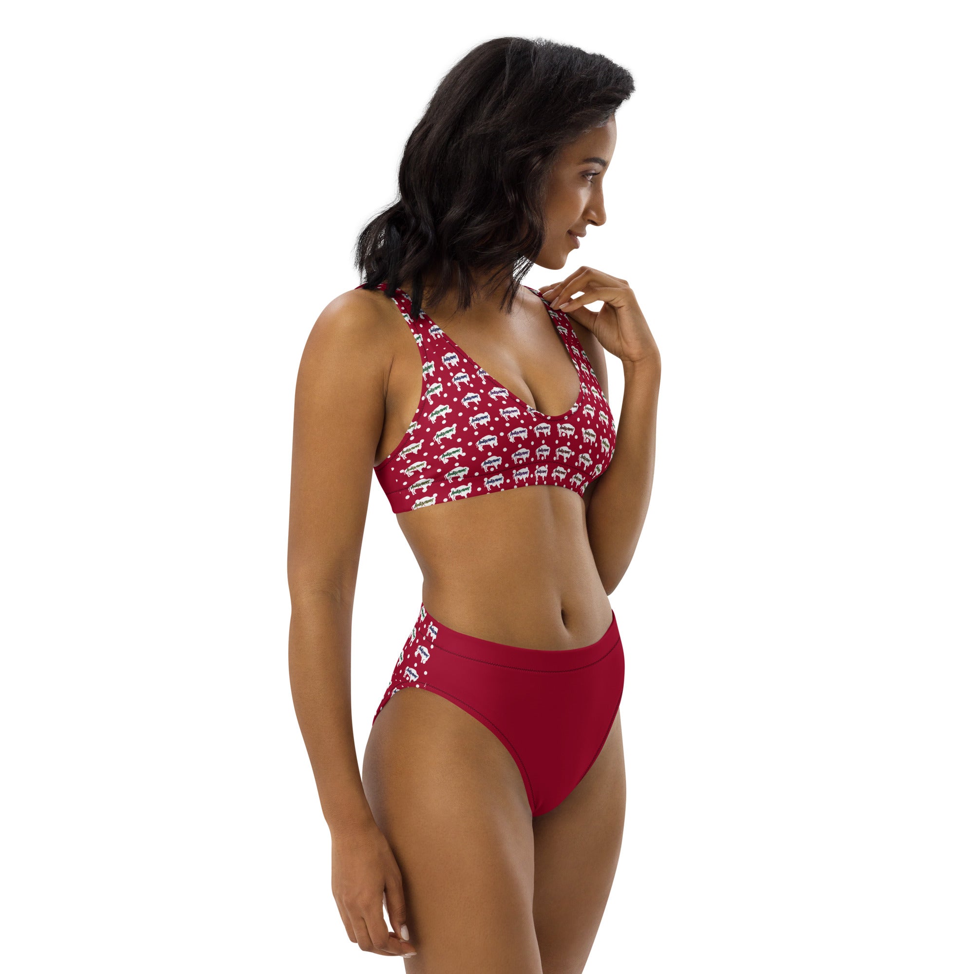 Indigenous Innii Aka Bison Rainbow on Red Recycled high-waisted bikini